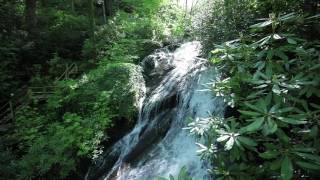 130 Sitton Place Pisgah Forest NC  Home for Sale  Waterfall Aerial [upl. by Angelina]