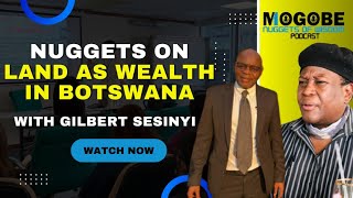 Nuggets on Land as Wealth in Botswana with Gilbert Sesinyi [upl. by Burdelle280]