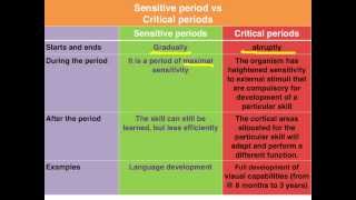 Sensitive vs Critical periods of learning  VCE Psychology [upl. by Iru]