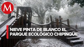 Nieve en Monterrey Visitantes acuden al parque ecológico Chipinque [upl. by Suhpoelc]