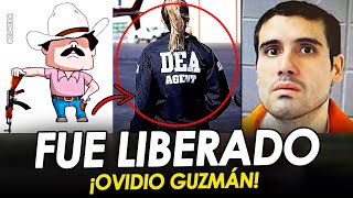 ¡¡BOMBAZO LIBERAN a OVIDIO GUZMÁN quotEL RATÓNquot tras DETENCIÓN del MAYO ZAMBADA [upl. by Ylime]