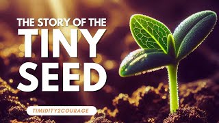 Timidity to Courage The story of the tiny SEED [upl. by Rohclem]