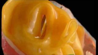 La Selezione Fini Centenario Spot  Tortellini di Modena con prosciutto crudo e Parmigiano Reggiano [upl. by Ayenet]