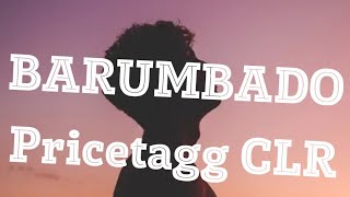 PRICETAGG CLR  BARUMBADO lyrics video [upl. by Laurena638]