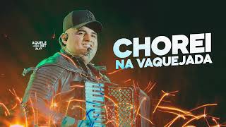 Tarcísio do acordeon CHOREI NA VAQUEIJADA 🐴 [upl. by Cirdla]