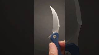 Trivisa Lacerta Pikal Folder  Review Coming Soon [upl. by Whiney341]