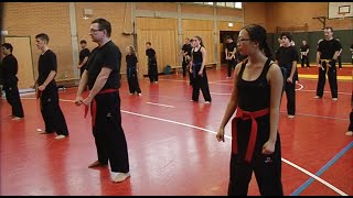 stadtpanorama TV Verein „Taekwondo Freestyle“ [upl. by Winson405]