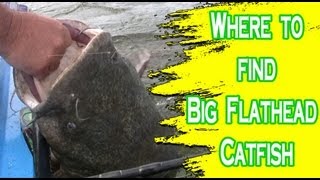 Places to look for flathead catfish on the Ohio River [upl. by Ramberg787]