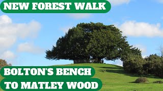 NEW FOREST WALK from BOLTONS BENCH LYNDHURST TO MATLEY WOOD NEW FOREST NATIONAL PARK 4K [upl. by Doehne127]