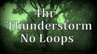 4hr Thunderstorm with No Loops quotSleep Soundsquot [upl. by Schilit]