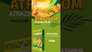 ATRAZOOM  Atrazine 50 WP Herbicide [upl. by Aglo]