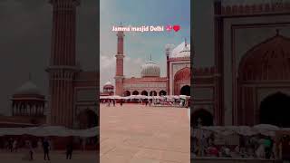 Allah 💫✨🌟 jamma masjid short video [upl. by Akenor]