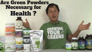 Are Green Powder Super Foods Necessary for Health [upl. by Ellenwahs]