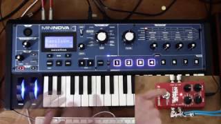 Novation Mininova  Reverb TC Eletronic Hall Of Fame [upl. by Anaitak926]