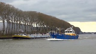 ⚓️Mosselkotter BRU 72 tankschip HARTELSTROOM en tankschip JULIA gespot 13 03 2024 [upl. by Ciel]