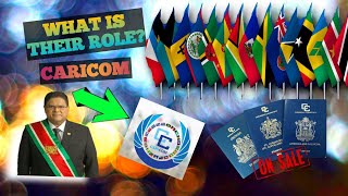 The Role Of CARICOM In The Caribbean [upl. by Rasla]