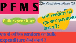 PFMS me Bulk payment kaise kare PFMS bulk expenditure  pfms pfmsportal [upl. by Nylla]