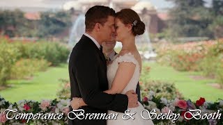 Temperance Brennan amp Seeley Booth Bones [upl. by Tebazile]