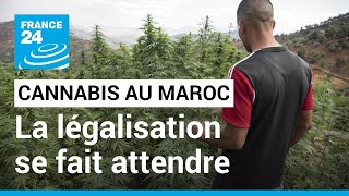 Légalisation du cannabis au Maroc  les cultivateurs lassés dattendre • FRANCE 24 [upl. by Lodhia]