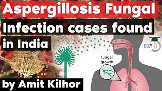 Aspergillosis Fungal Infection cases found in India  Deadlier than Black White amp Yellow fungus [upl. by Monafo]