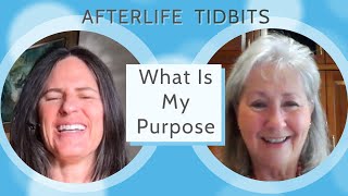 Who Am I What is My Purpose NDE Afterlife Tidbit [upl. by Winonah]