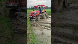 Solis 5515 tractor with rotovater short viral video shortsplease subscribe [upl. by Alitta]