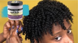 How To Twist Out On Short Natural 4B4C Hair  Curl La La [upl. by Kevon]