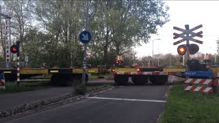 Spoorwegovergang VelsenNoordDutch Railroad Crossing [upl. by Laban]