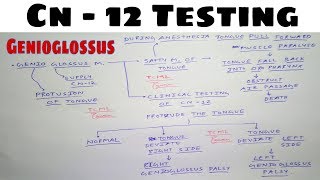 Hypoglossal Nerve Testing  Safety Muscle of Tongue  The Charsi of Medical Literature [upl. by Aerdnac]