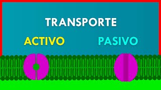 TRANSPORTE ACTIVO y PASIVO en la MEMBRANA PLASMÁTICA [upl. by Catie]