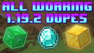 Minecraft Java 1192 All Working Multiplayer Duplication Glitches NEW [upl. by Anaig]