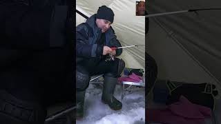 wow fishing winter рыбалка icefishinglife icefishinglife winterfishing [upl. by Bergen]