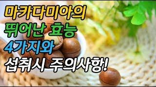 마카다미아가 이런 효능이 있다는 사실 아셨나요 [upl. by Anaed]