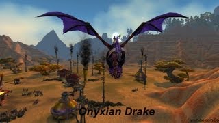 Mount Onyxian Drake  World of Warcraft [upl. by Noble851]