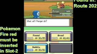 How to get Growlithe Pokémon Platinum [upl. by Yasui373]