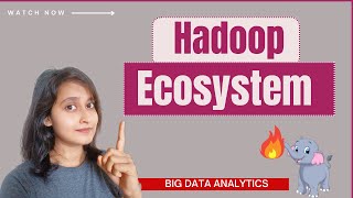 Hadoop Ecosystem  Big Data Analytics  Big Data Tutorial In Hindi [upl. by Ahtebbat931]