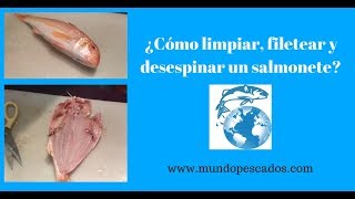 ¿Cómo limpiardesespinar y filetear un salmonete [upl. by Jain360]