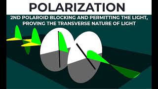 POLARIZATION OF LIGHT  Beautiful Animations  Physics Class 11  Friends Physics [upl. by Yahsed532]