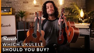 Which Ukulele Should You Buy  Reverb Buying Guide [upl. by Names]