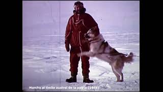 Extinct Argentine Polar Dog Footage Perro Polar Argentino [upl. by Peih]