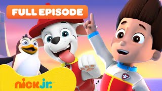 PAW Patrol Pups Save the Penguins 🐧 FULL EPISODE  Nick Jr [upl. by Giark103]