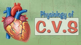 Easy Physiology  CVS  ECG 1Introduction amp ECG Leads [upl. by Korey]