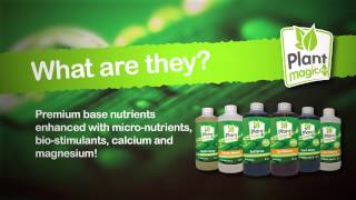 Plant Magic Base nutrients [upl. by Randolph]