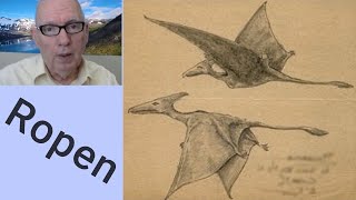 Pterodactyl Sightings in Australia [upl. by Idaline]