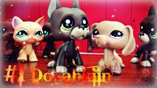 Littlest Pet Shop Dovahkiin 1 Fus Ro Dah [upl. by Nilra]