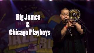 Big James and the Chicago Playboys  Thank God I Got The Blues [upl. by Adok]