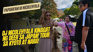 DJ NICOLEHYALA KINAGAT NG DEER SA JAPAN TOUR SA KYOTO AT NARA [upl. by Neysa]