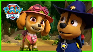 Chase and Skye Rescue Missions and MORE  PAW Patrol  Cartoons for Kids [upl. by Ateekahs74]