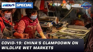 COVID19 Chinas clampdown on wildlife wet markets  Indus Special with Ejaz Haider  Indus News [upl. by Conley]