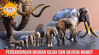 Perbandingan ukuran gajah dan ukuran mamut [upl. by Elfreda809]